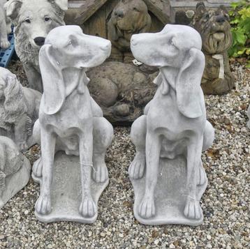 Hond van beton tuinbeeld Pointer Weimaraner Jachthond