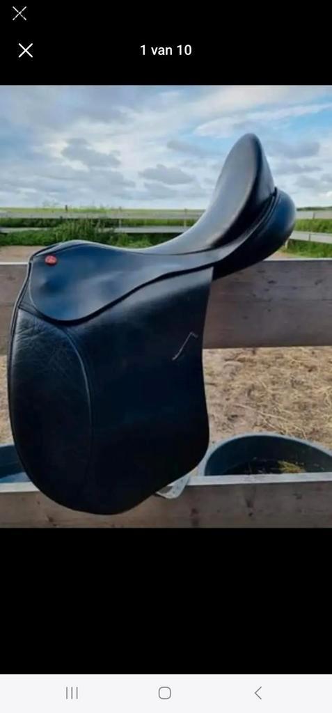 antilope riding equipment dressuur zadel, Dieren en Toebehoren, Paarden en Pony's | Zadels, Gebruikt, Dressuur, Ophalen of Verzenden