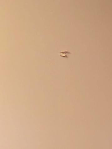 IKEA Pax Schuifdeur - afbeelding 3 IKEA Pax Schuifdeur - afbeelding 3