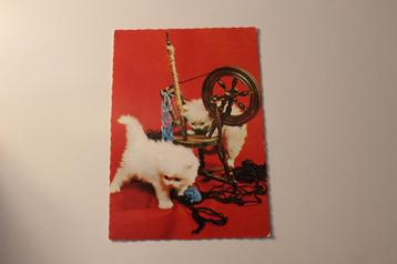 Katten Postkaart - Spelende Kitten met Mini Spinnewieltje GE