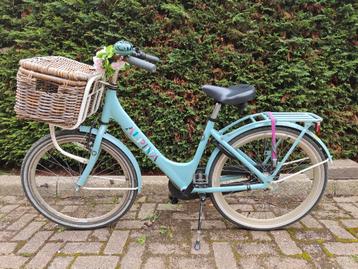 Alpina fiets 24 inch