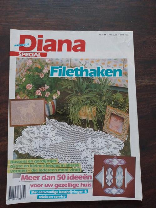 Diana, filethaken,  50 haakpatronen, Hobby en Vrije tijd, Breien en Haken, Zo goed als nieuw, Haken, Patroon of Boek, Ophalen of Verzenden