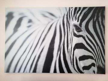 Zebra schilderij canvas IKEA 