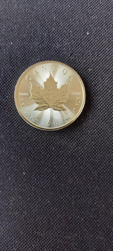 Zilveren munt Maple Leaf 2022, Postzegels en Munten, Munten | Amerika, Losse munt, Noord-Amerika, Zilver, Ophalen of Verzenden