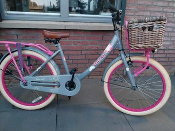 Nette 22inch Meisjes fiets