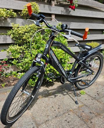 Alpina trial 24 inch