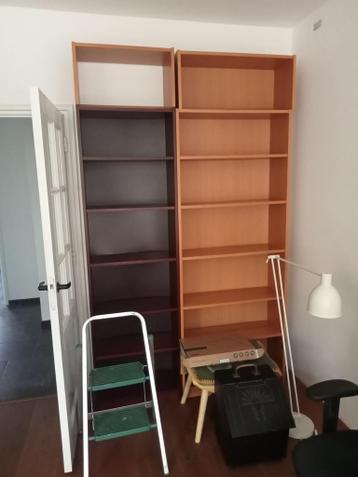 Ikea billy boekenkasten - afbeelding 2 Ikea billy boekenkasten - afbeelding 2
