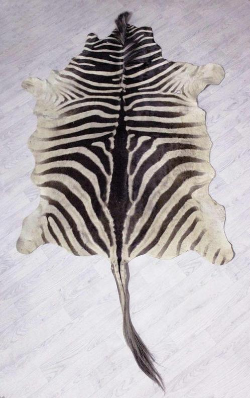 Zebravel / Zebra huid - (Equus quagga - Equus burchelli), Huis en Inrichting, Stoffering | Tapijten en Kleden, Gebruikt, 100 tot 150 cm