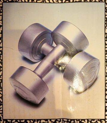 Halters 2x 2KG kunststof