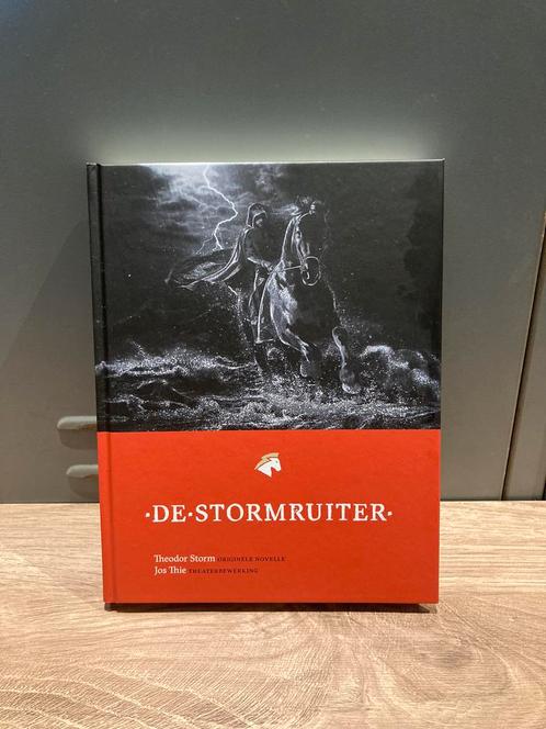 Theodor Storm - De Stormruiter, Boeken, Literatuur, Nieuw, Nederland, Ophalen of Verzenden