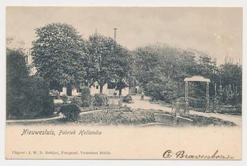 54- PBK Nieuwesluis 1904 - Fabriek Hollandia -Grootrondstmpl