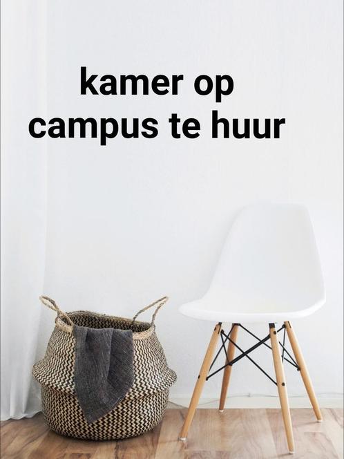 nette studentenkamer op Aeres campus in Dronten, Huizen en Kamers, Kamers te huur