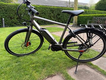 Koga pace B05 tokyo Edition