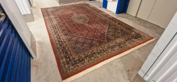 Groot prezisch tapijt Bidjar 414x250 handgeknoopt vloerkleed
