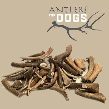 15% korting  Antlers for Dogs | honden snack |  herten gewei