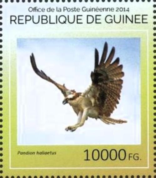 2014 Guinee Fauna Roofvogels Arend - Uilen, Postzegels en Munten, Postzegels | Thematische zegels, Postfris, Dier of Natuur, Ophalen of Verzenden
