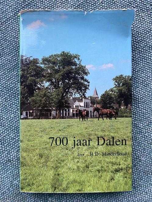 700 Jaar Dalen - Gerschiedenis Coevorden, Boeken, Geschiedenis | Stad en Regio, Gelezen, 17e en 18e eeuw, Ophalen of Verzenden