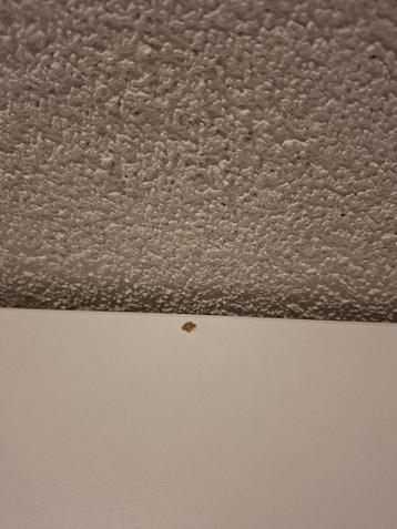 Ikea bureau Bekant wit - afbeelding 3 Ikea bureau Bekant wit - afbeelding 3