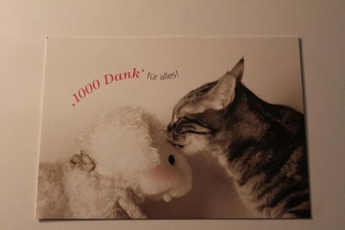 Katten Postkaart - Poes geeft zijn Knuffel een Zoen, 1000 Da, Verzamelen, Ansichtkaarten | Dieren, Ongelopen, 1980 tot heden, Hond of Kat
