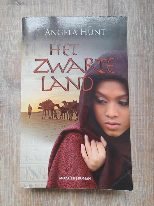 Angela Hunt - Het zwarte land, Boeken, Historische romans, Gelezen, Ophalen of Verzenden