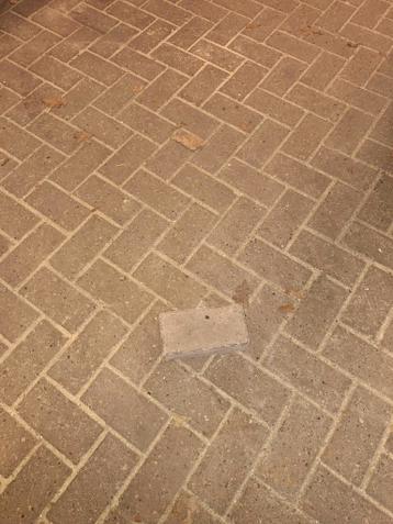 Gratis 100 m2 beton klinkers