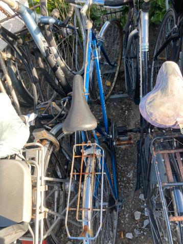 race fiets motobecane