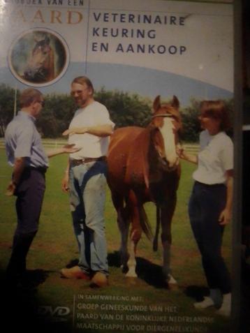 dvd dagboek van een paard