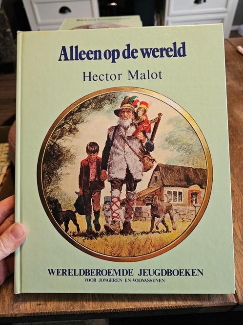 Hector Malot - Alleen op de wereld, Boeken, Sprookjes en Fabels, Zo goed als nieuw, Ophalen of Verzenden
