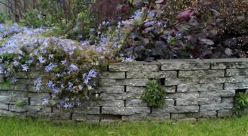 50 halve stoeptegels gratis in Drunen - tegels betontegels