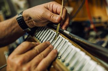 Nijkamp Accordeons, Dé Accordeonspecialist van BeNeLux