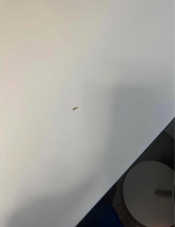 Sta Bureau Ikea Bekant - afbeelding 4 Sta Bureau Ikea Bekant - afbeelding 4