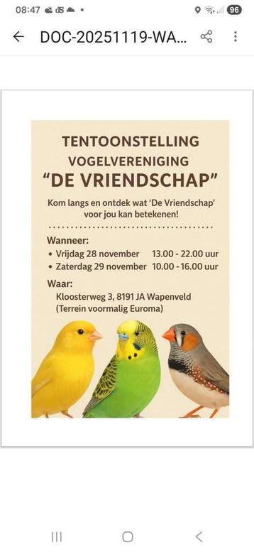 Deze week is de gezellige vogel tentoonstelling in Heerde