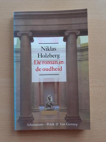 Niklas Holzberg - De roman in de oudheid