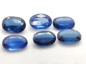 6x Royal blue kyanite!! Zeer gewild