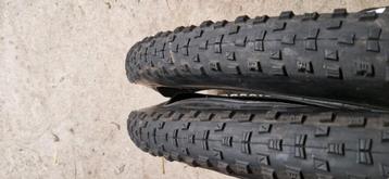 Maxxis Dissector Forekaster Rekon mtb 29