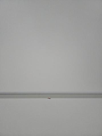 IKEA Malm Ladekast - Gebruikt - afbeelding 4 IKEA Malm Ladekast - Gebruikt - afbeelding 4