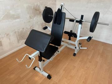 Fitness bench multi