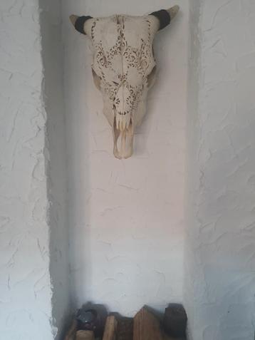 Bali buffel schedel kunst buffelo scull