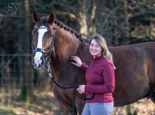 ***Professionele Bemiddeling in de Verkoop van Paarden***, Dieren en Toebehoren, Paarden en Pony's | Overige Paardenspullen, Nieuw