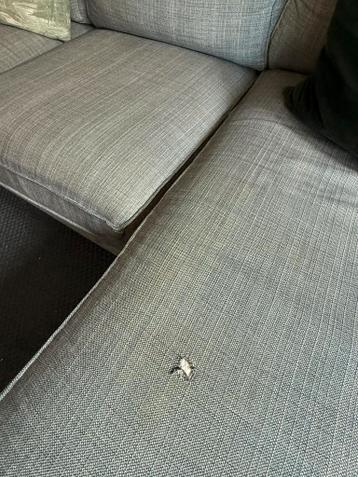 IKEA Kivik Hoekbank met Chaise Longue - afbeelding 9 IKEA Kivik Hoekbank met Chaise Longue - afbeelding 9