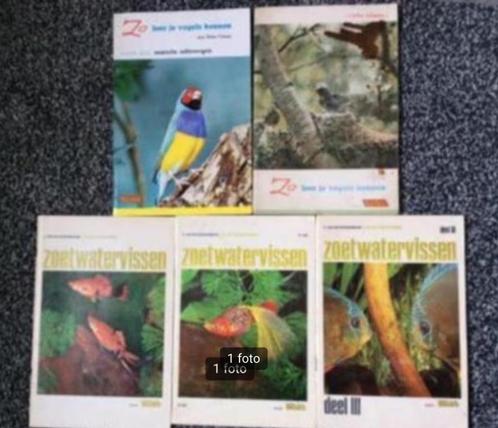 5 Rizla vogels/vissen plaatjesalbum., Boeken, Prentenboeken en Plaatjesalbums, Gelezen, Ophalen of Verzenden