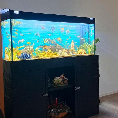 aquarium / terrarium  210 liter tegen elk aan nemelijk bod, Dieren en Toebehoren, Vissen | Aquaria en Toebehoren, Zo goed als nieuw