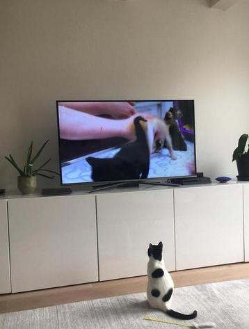 Ikea Besta kast met glasplaat - afbeelding 1 Ikea Besta kast met glasplaat - afbeelding 1