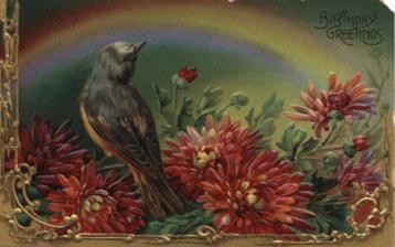 prachtige relief kaart met vogel en regenboog.