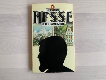 Hesse - Peter Camenzind - Engelstalig
