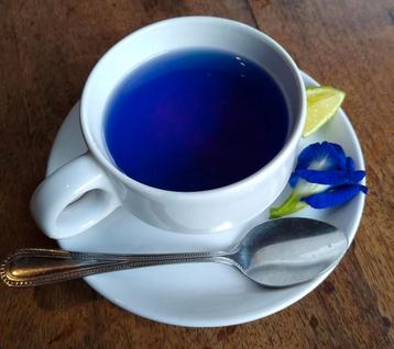 Blue butterfly pea bloemen om blauwe thee te zetten