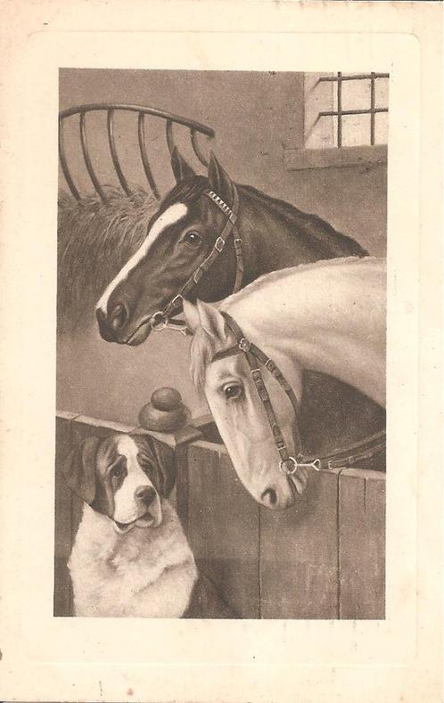 Ansichtkaart, Alfred Schönian, paard met honden in stal., Verzamelen, Ansichtkaarten | Themakaarten, Gelopen, Voor 1920, Overige thema's