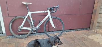 Storck scenario CD 1.0