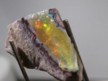 Ruwe Opaal Boulder