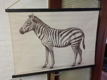 Doek met zebra (98 x 70 cm )
